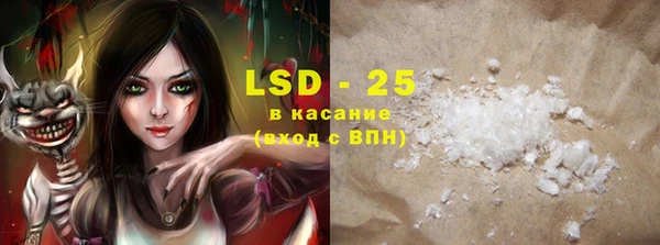индика Козловка