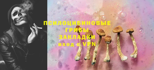 a pvp Коряжма