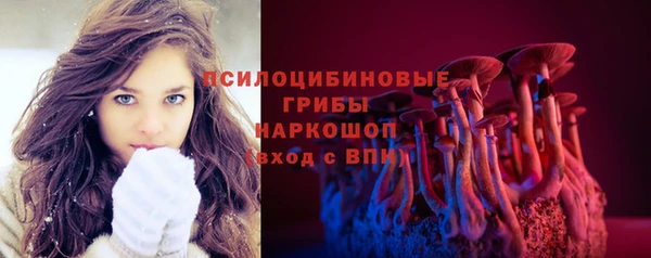 индика Козловка