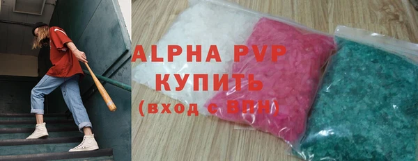 индика Козловка