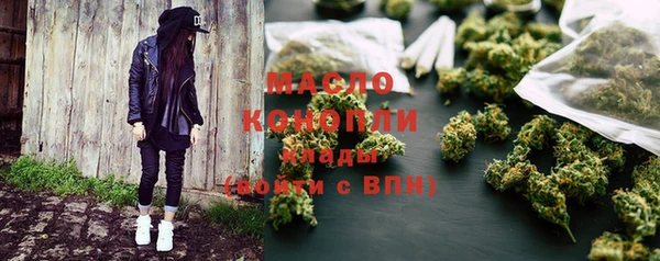 индика Козловка