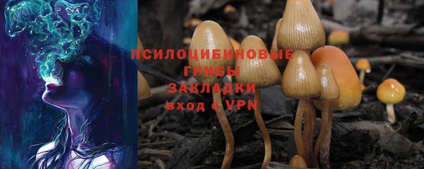 индика Козловка