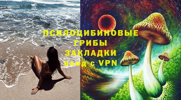 дживик Кодинск