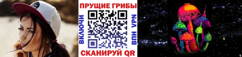 Псилоцибиновые грибы Psilocybe  купить   darknet официальный сайт  Красноперекопск 